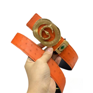 Gucci 古驰 3.8cm  澳洲野生炫彩橙鸵鸟皮 平滑扣