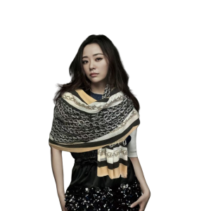 DIOR 迪奥 羊绒 字母银丝戒指绒长巾