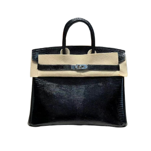 HERMES 爱马仕 Birkin 25cm 蜥蜴皮 订制款