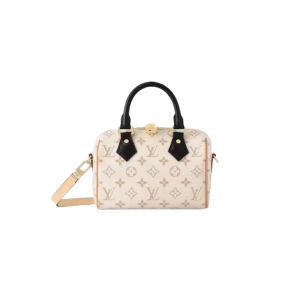 LOUIS VUITT0N 路易威登  Speedy 20经典老花 单肩斜挎手提枕头包