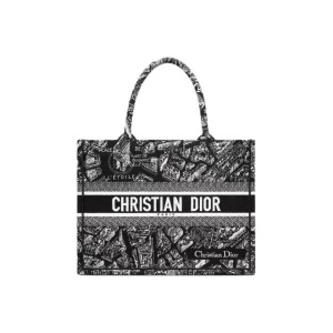 DIOR 迪奥  BookTote Plan de Paris巴黎地图系列 手提购物袋